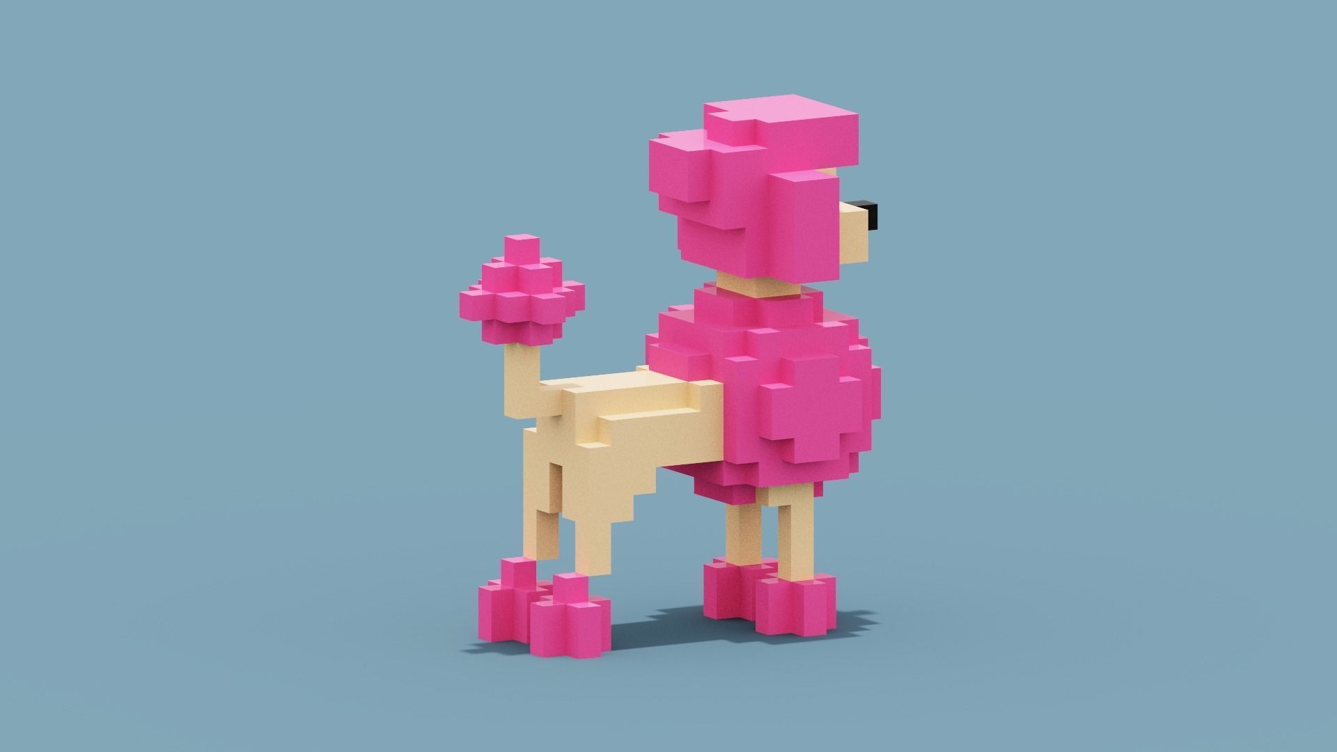 Voxel Poodle Dog Low-poly 3D model_6