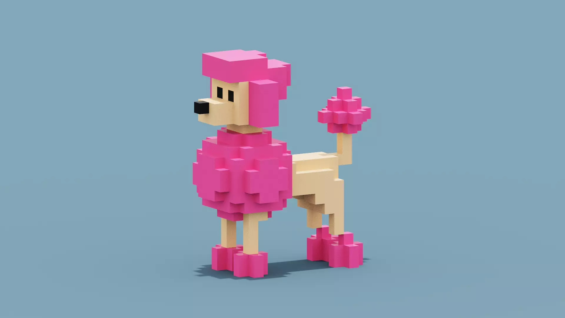 Voxel Poodle Dog Low-poly 3D model_0