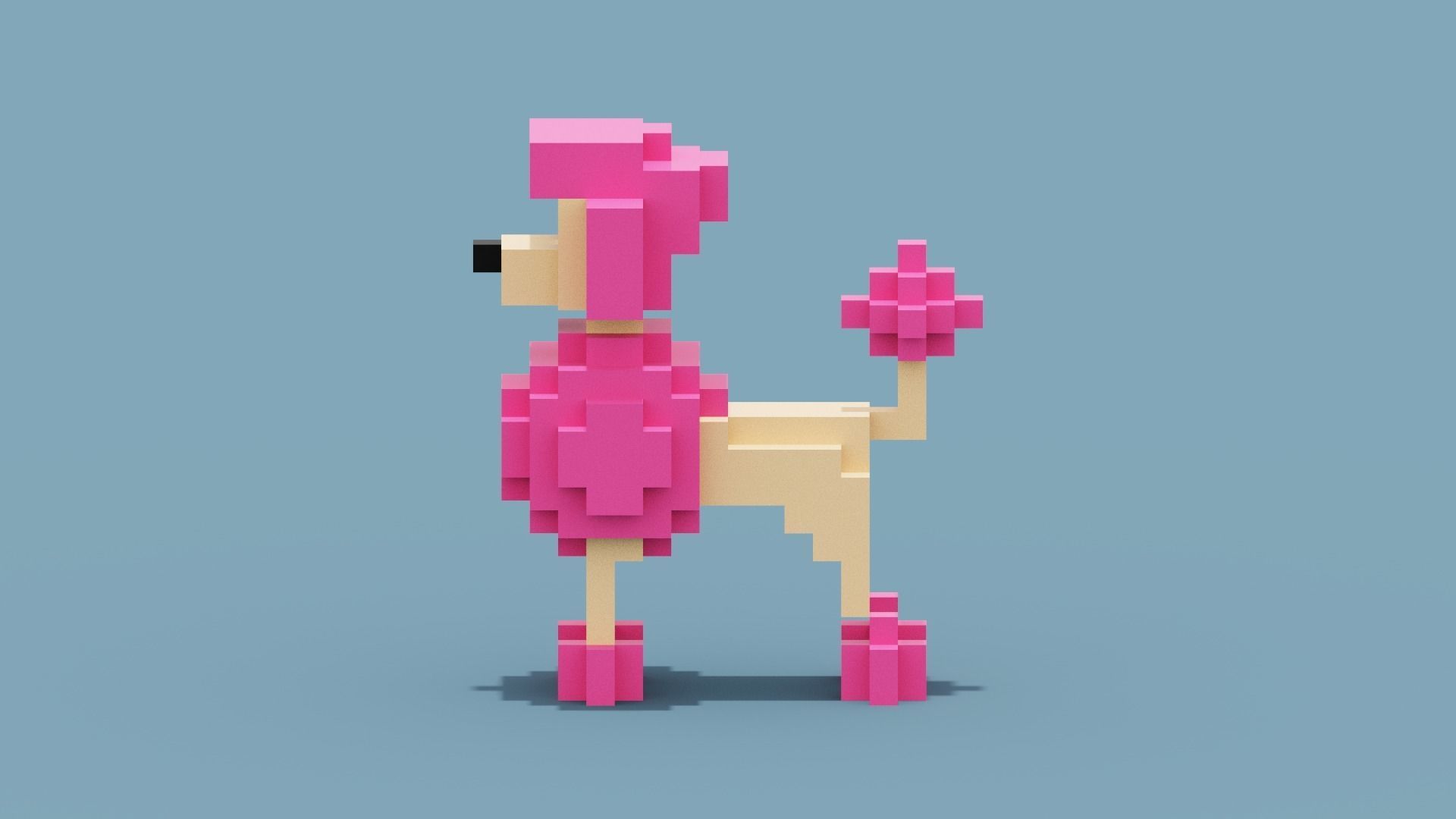 Voxel Poodle Dog Low-poly 3D model_1