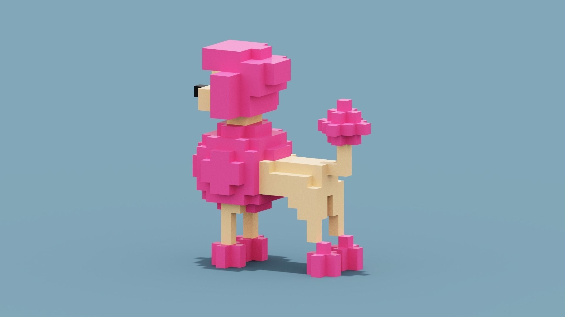 Voxel Poodle Dog Low-poly 3D model_2