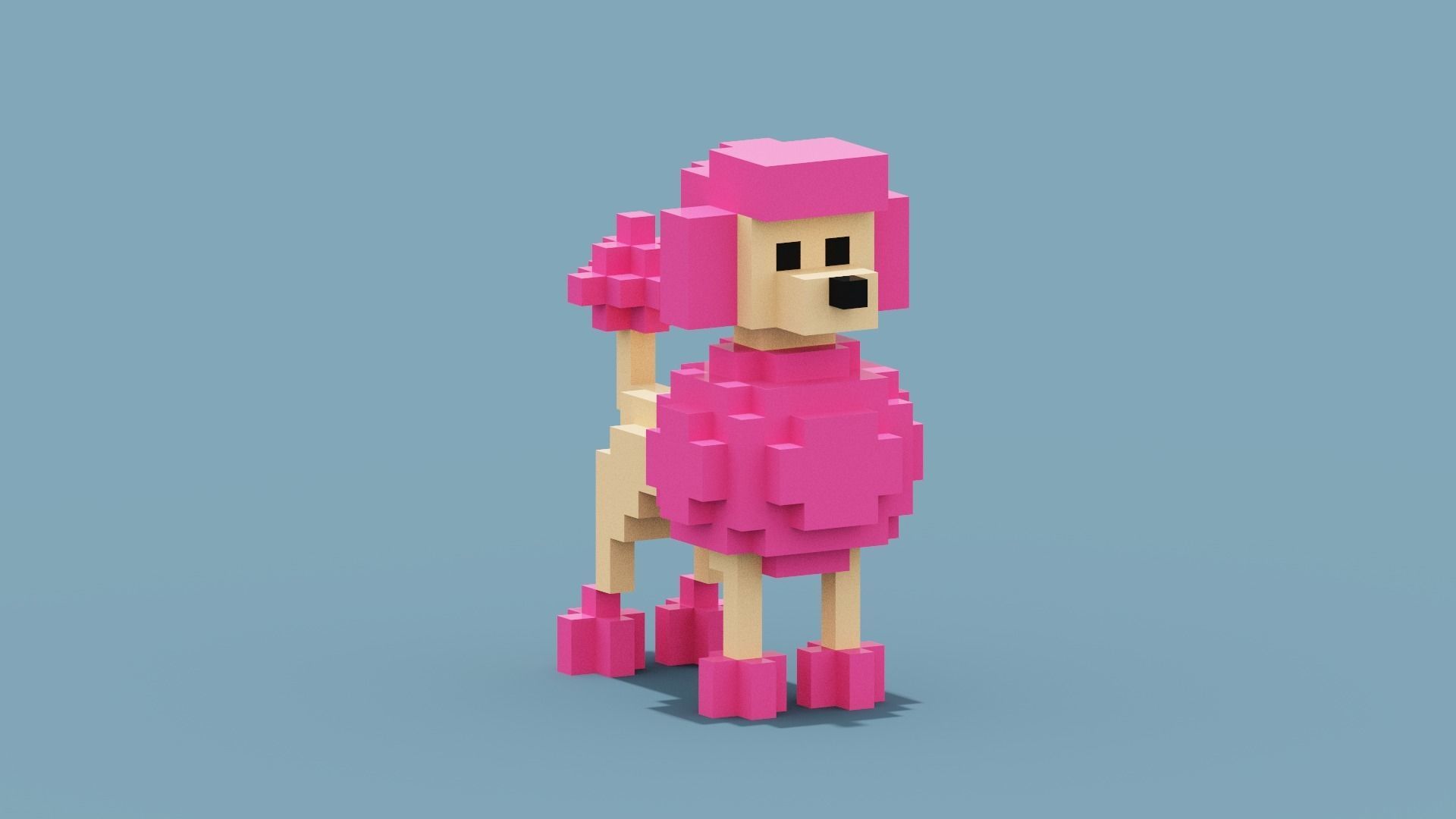 Voxel Poodle Dog Low-poly 3D model_9