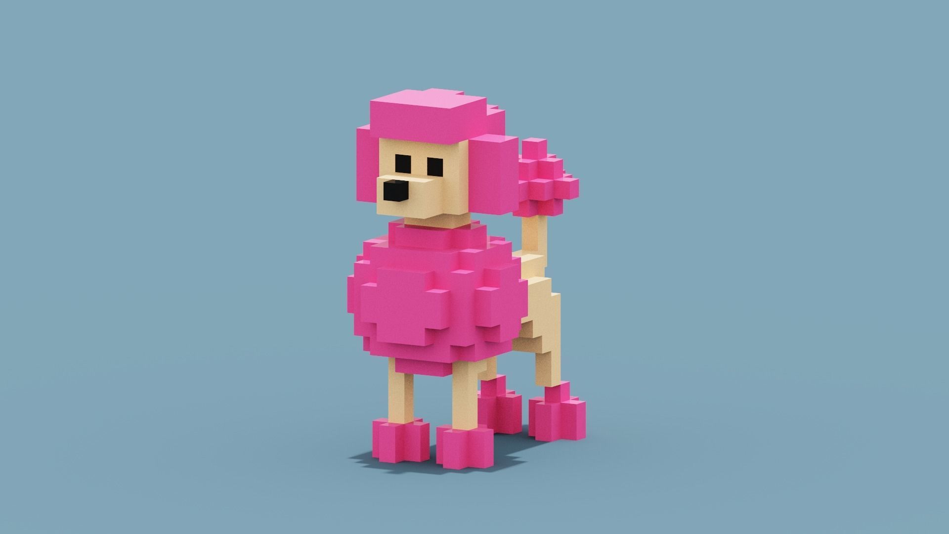 Voxel Poodle Dog Low-poly 3D model_11