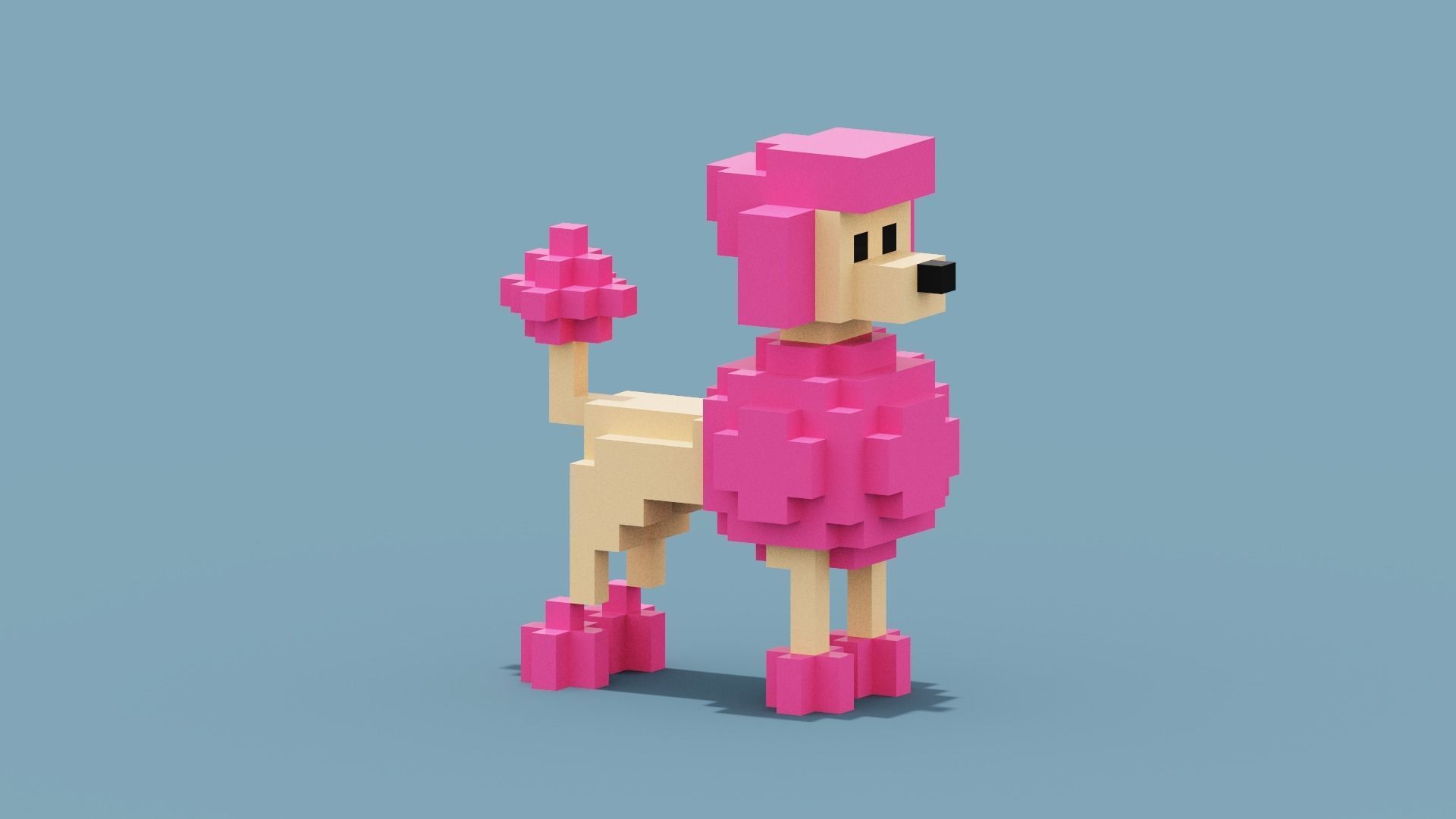 Voxel Poodle Dog Low-poly 3D model_8