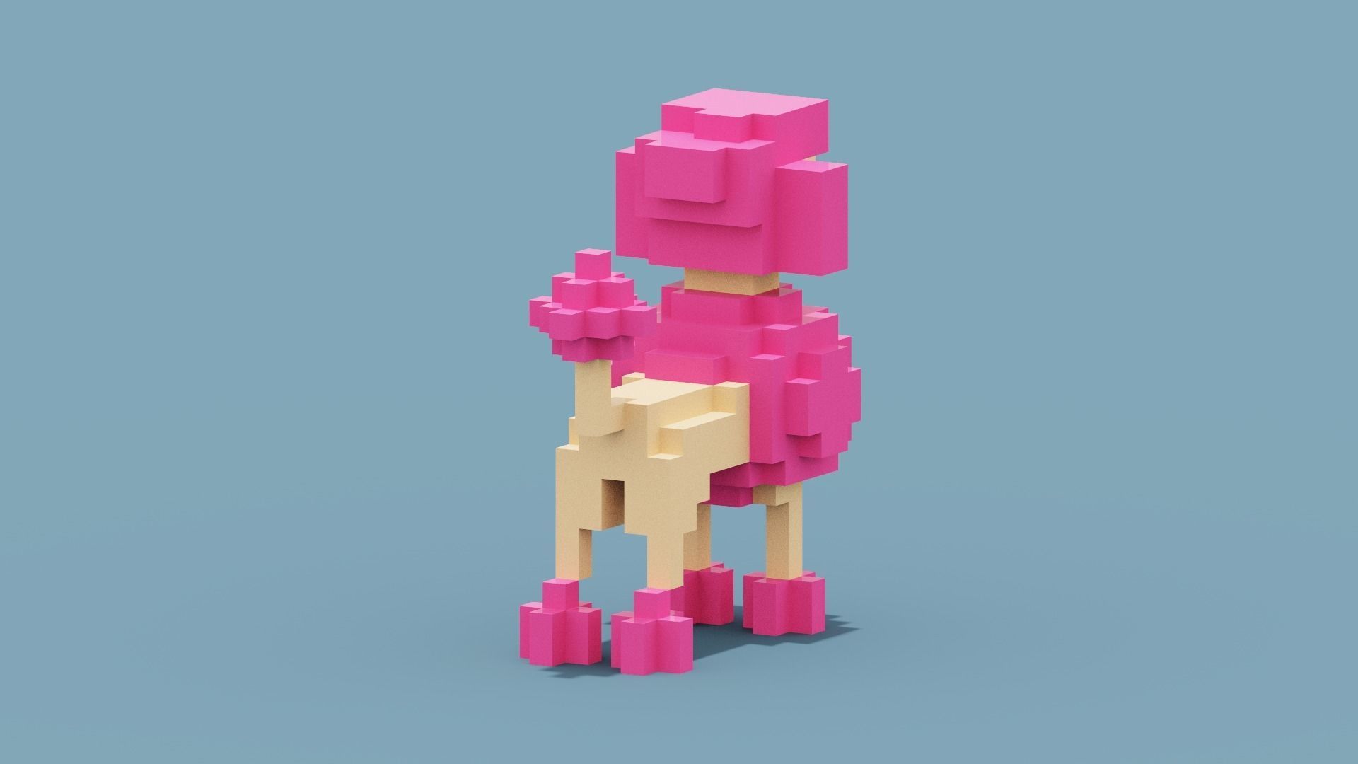 Voxel Poodle Dog Low-poly 3D model_5