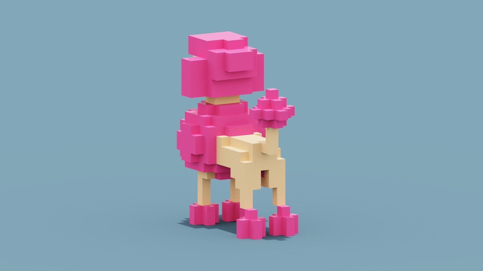 Voxel Poodle Dog Low-poly 3D model_3