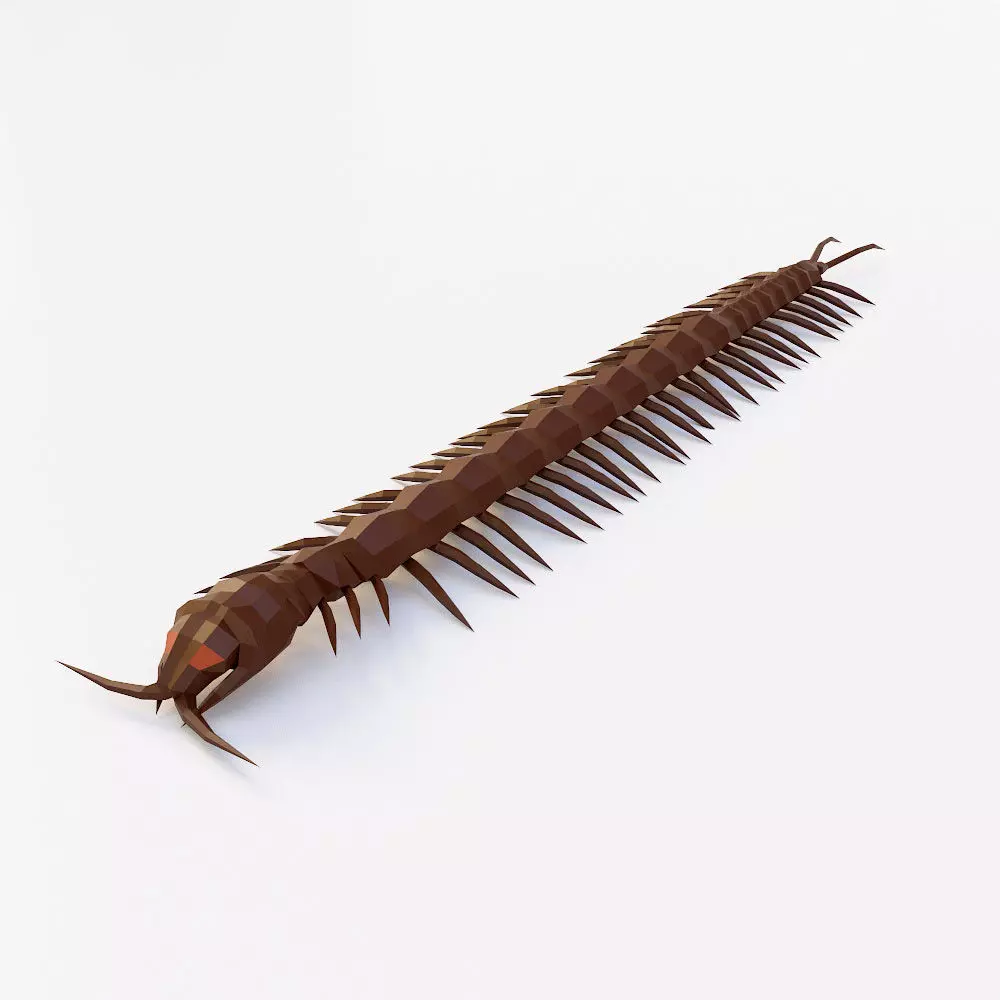 Centipede low poly 3d model Low-poly 3D model_0