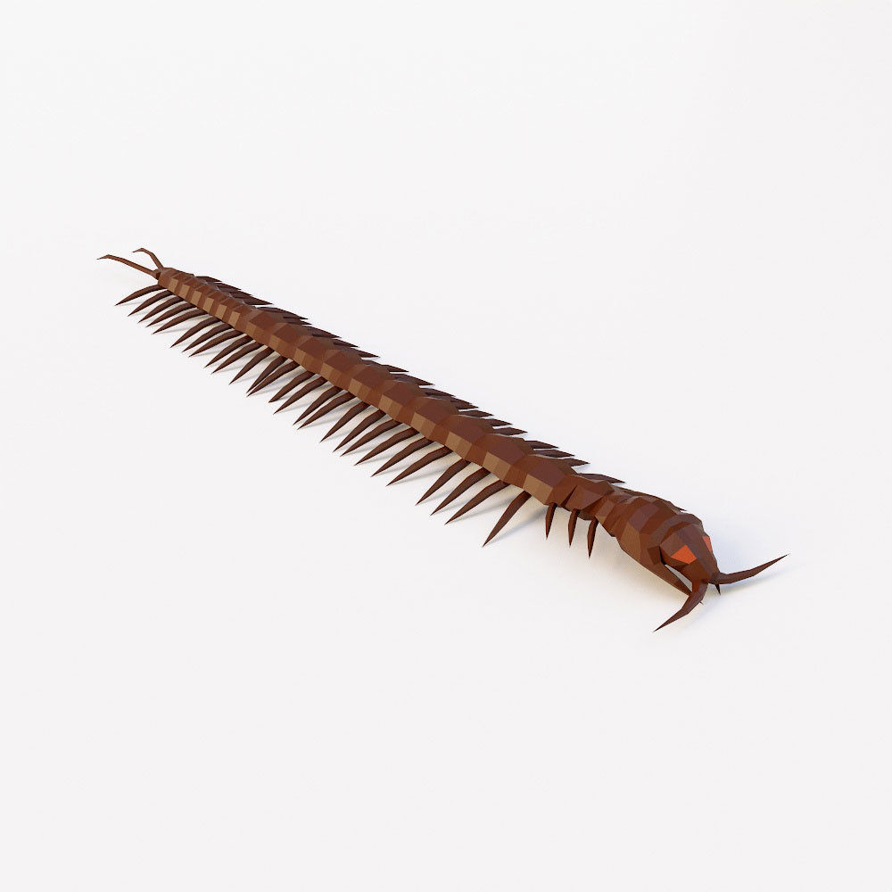 Centipede low poly 3d model Low-poly 3D model_1