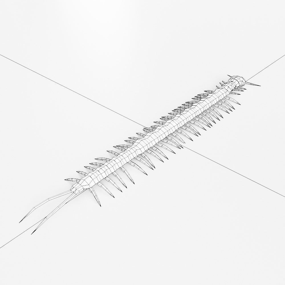 Centipede low poly 3d model Low-poly 3D model_3