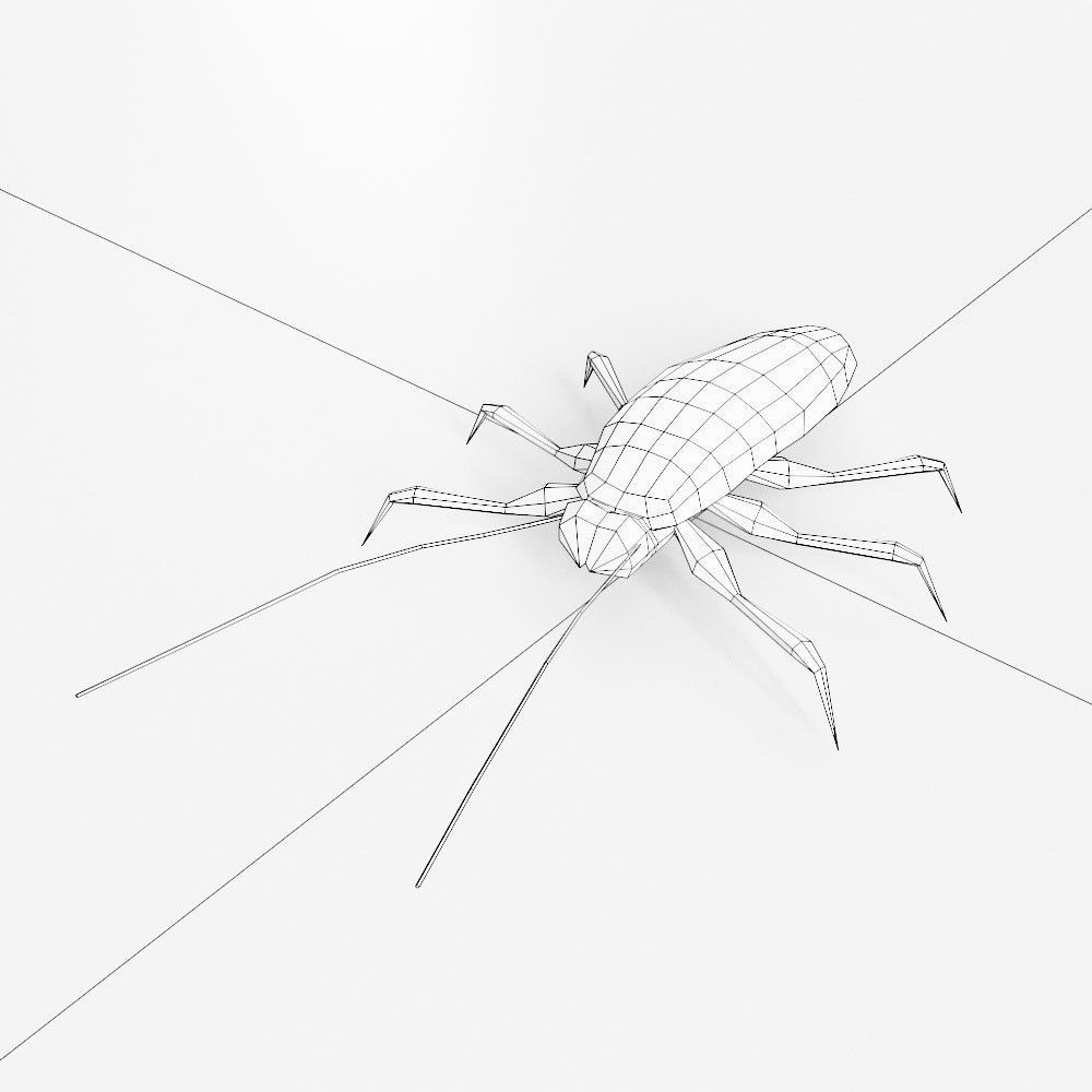 Cockroach 3d model Low-poly 3D model_3