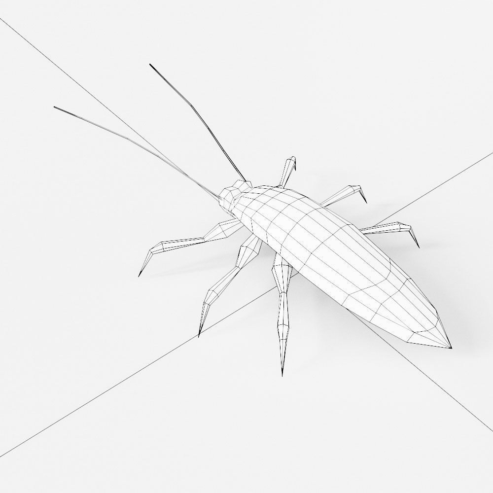 Cockroach 3d model Low-poly 3D model_4