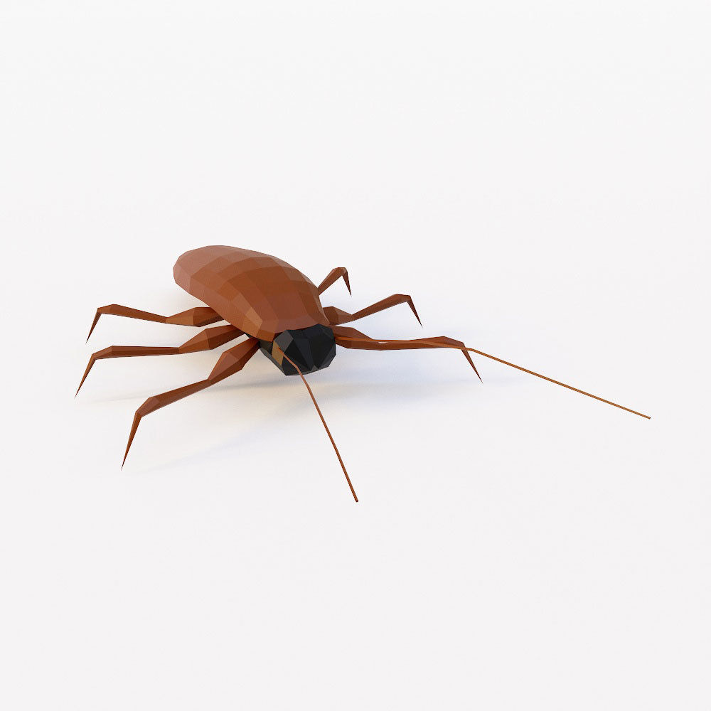 Cockroach 3d model Low-poly 3D model_1