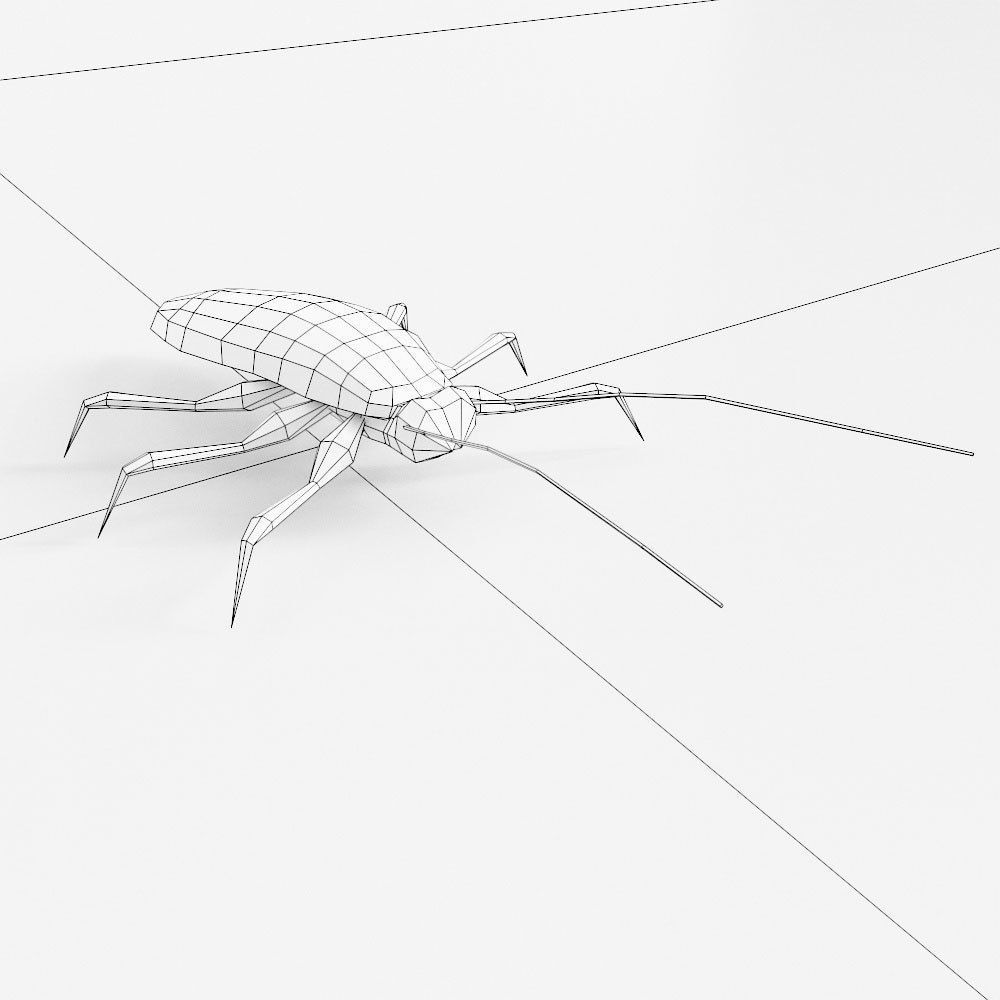 Cockroach 3d model Low-poly 3D model_5