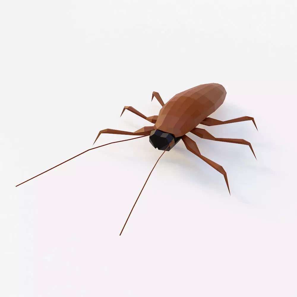 Cockroach 3d model Low-poly 3D model_0