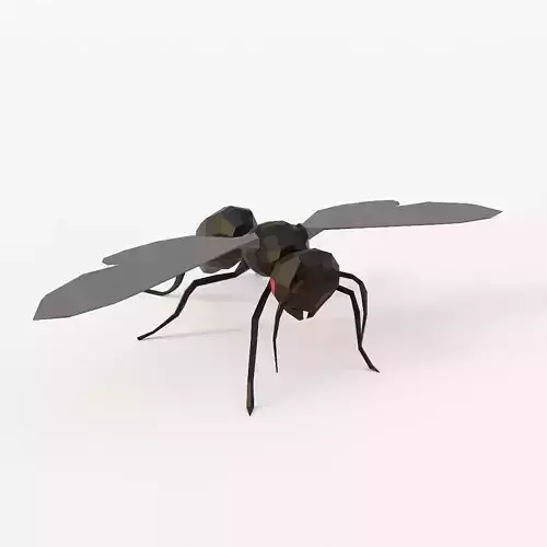 Flying ant 3d model 