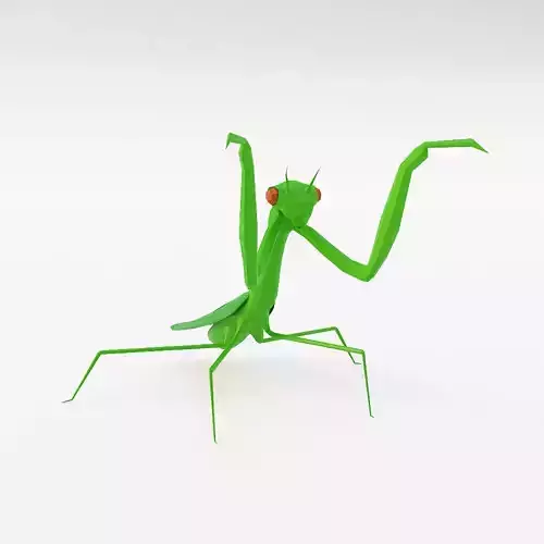 Mantis 3d model praying