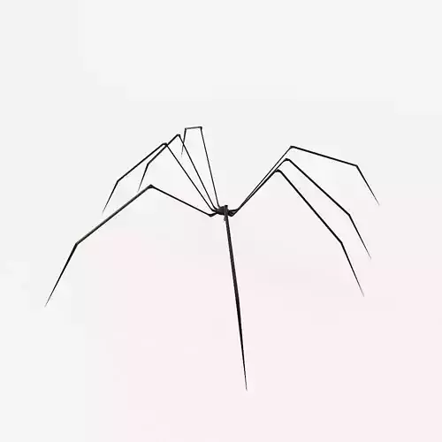 Spider low poly 3d model sculpture Free low-poly 3D model