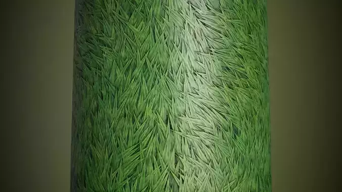 Grass PBR Tiling Texture Texture