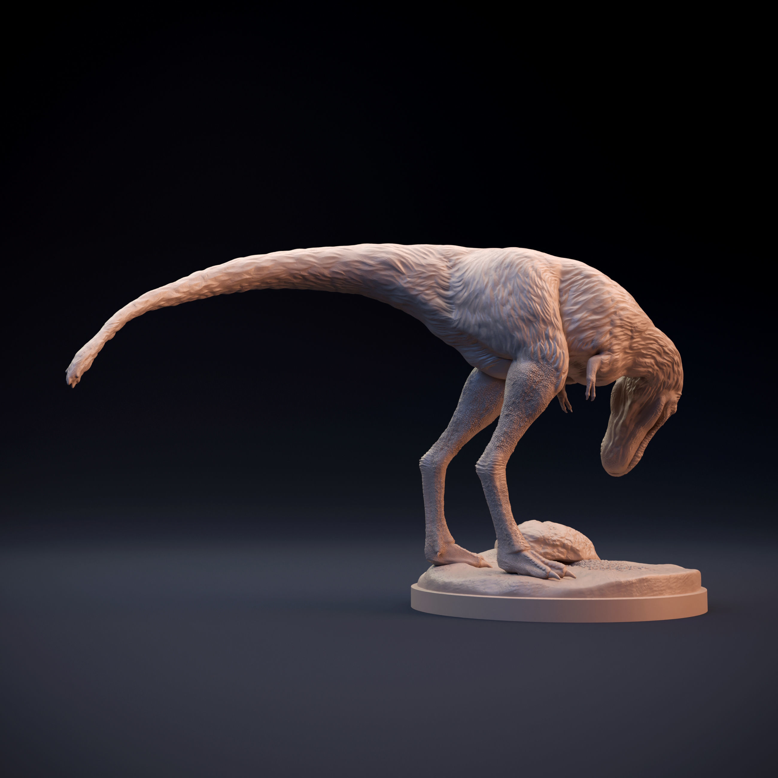Juvenile Tyrannosaurus 3D print model_2