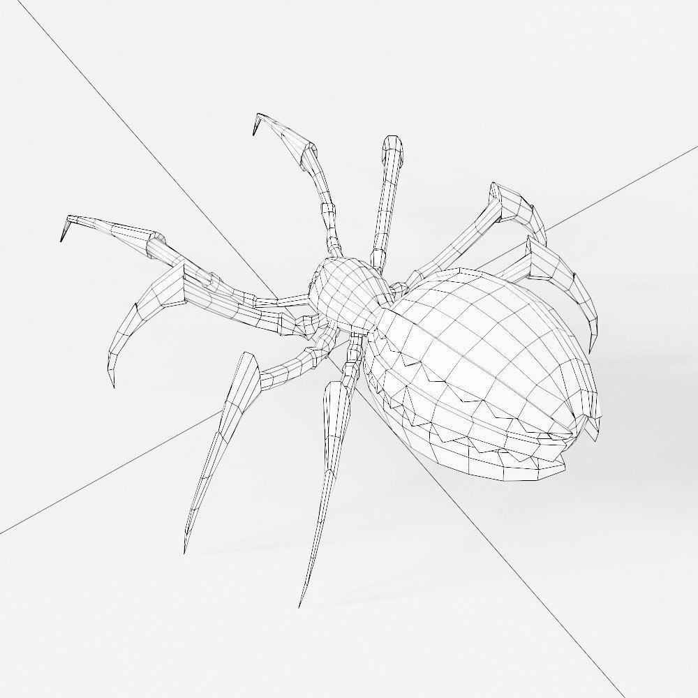 Spider 3d model with legs Low-poly 3D model_4