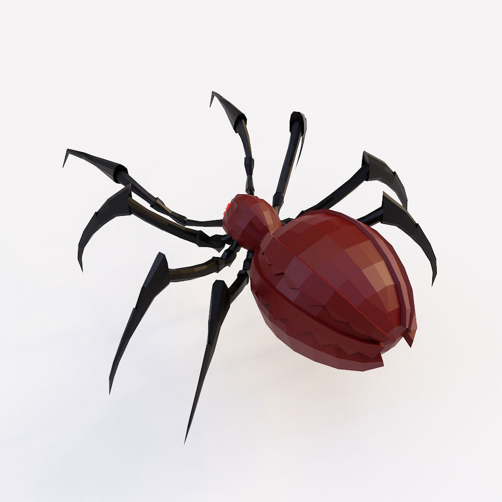 Spider 3d model with legs Low-poly 3D model_2