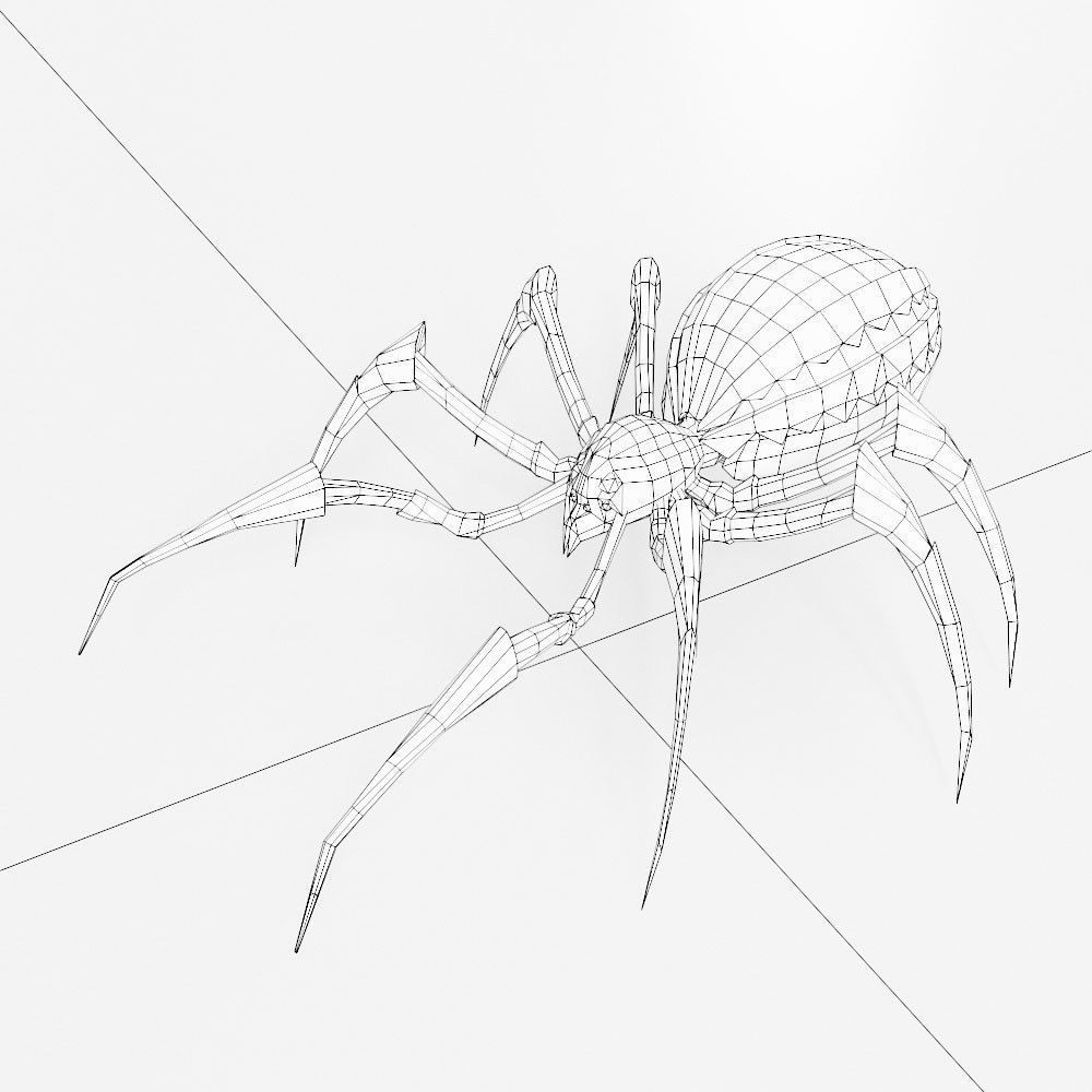 Spider 3d model with legs Low-poly 3D model_3