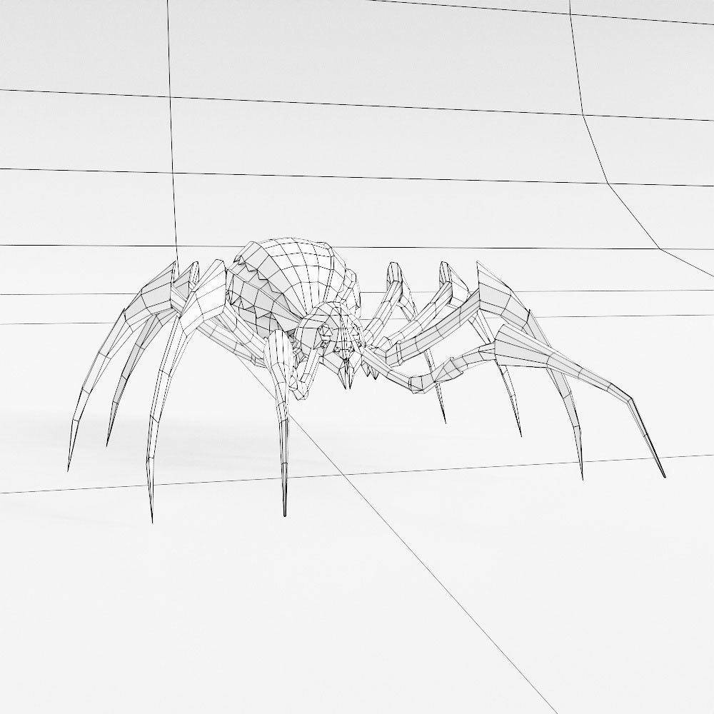 Spider 3d model with legs Low-poly 3D model_5