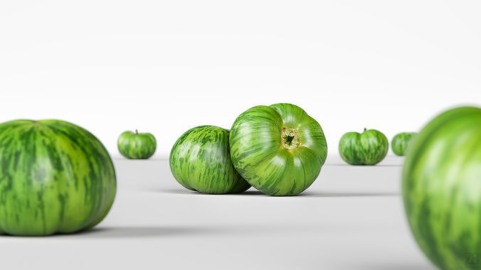 Tomato 3D model 2