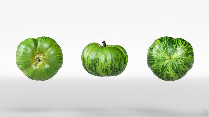 Tomato 3D model 5