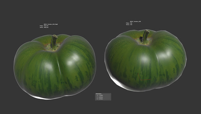 Tomato 3D model 6