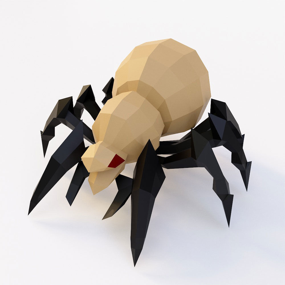 Spider 3d model polygonal with eyes Low-poly 3D model_1