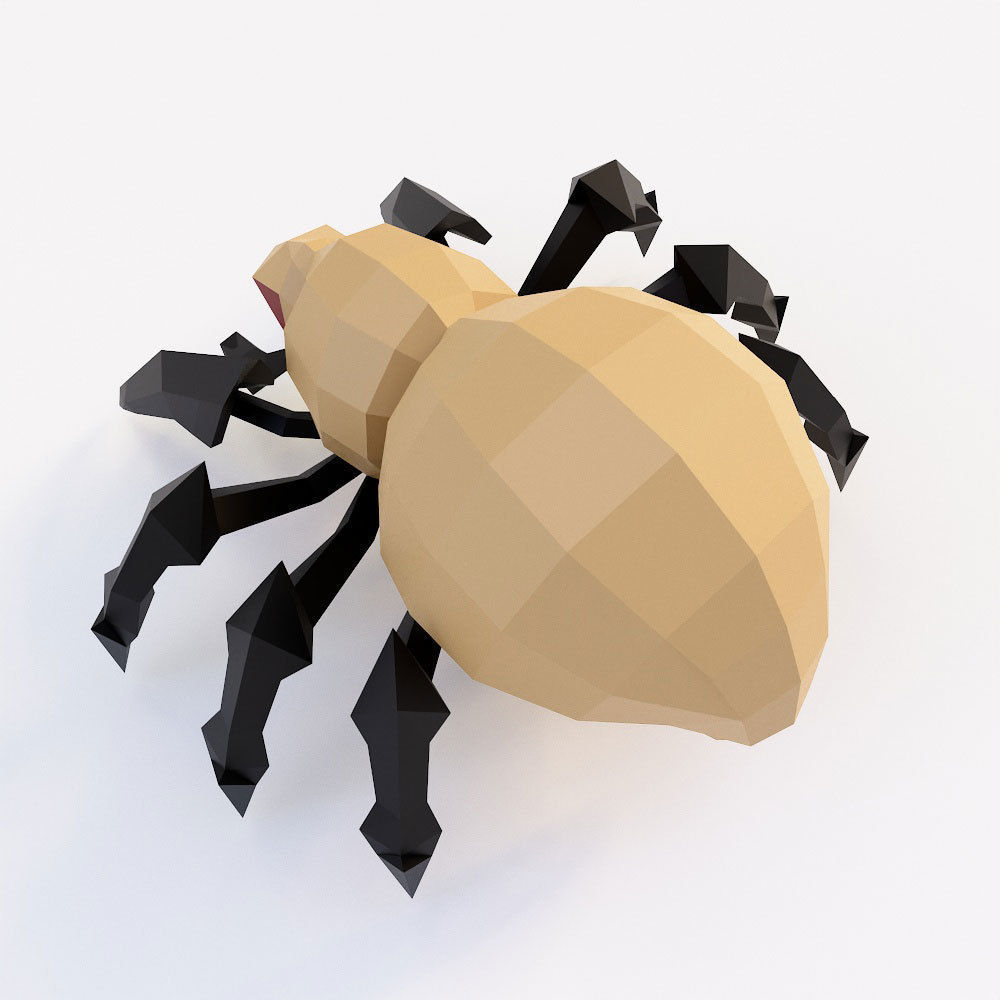 Spider 3d model polygonal with eyes Low-poly 3D model_2