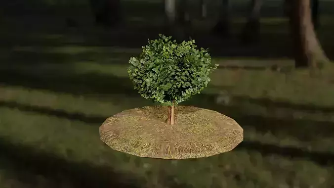 Tree LowPoly 3D Model Free