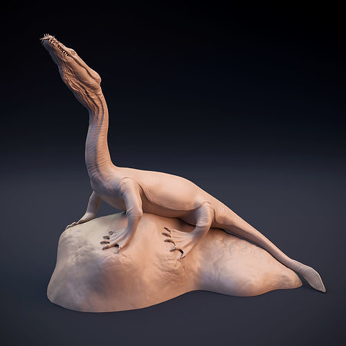 Nothosaurus lizard 3D print model