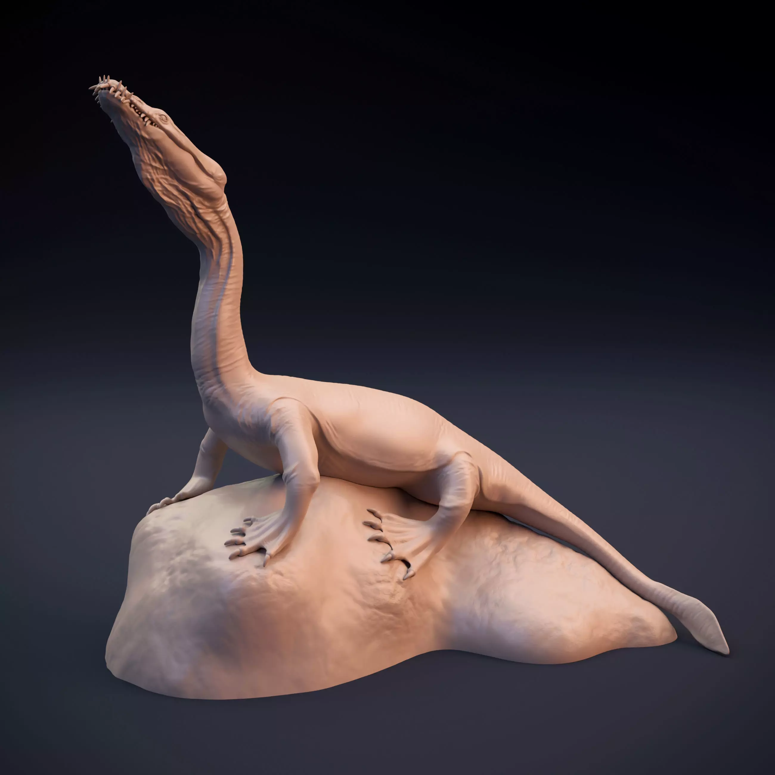 Nothosaurus lizard 3D print model_0