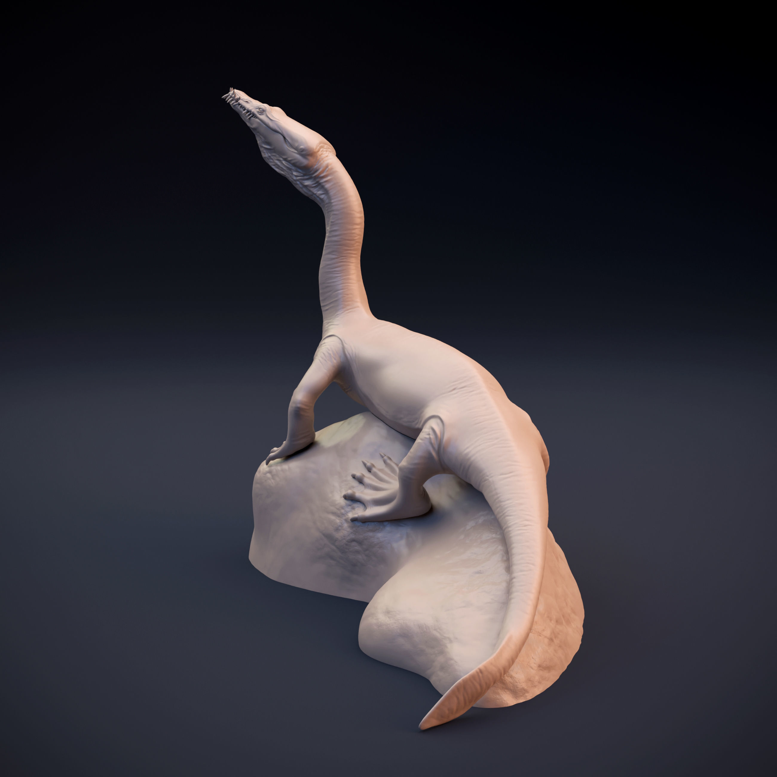 Nothosaurus lizard 3D print model_5