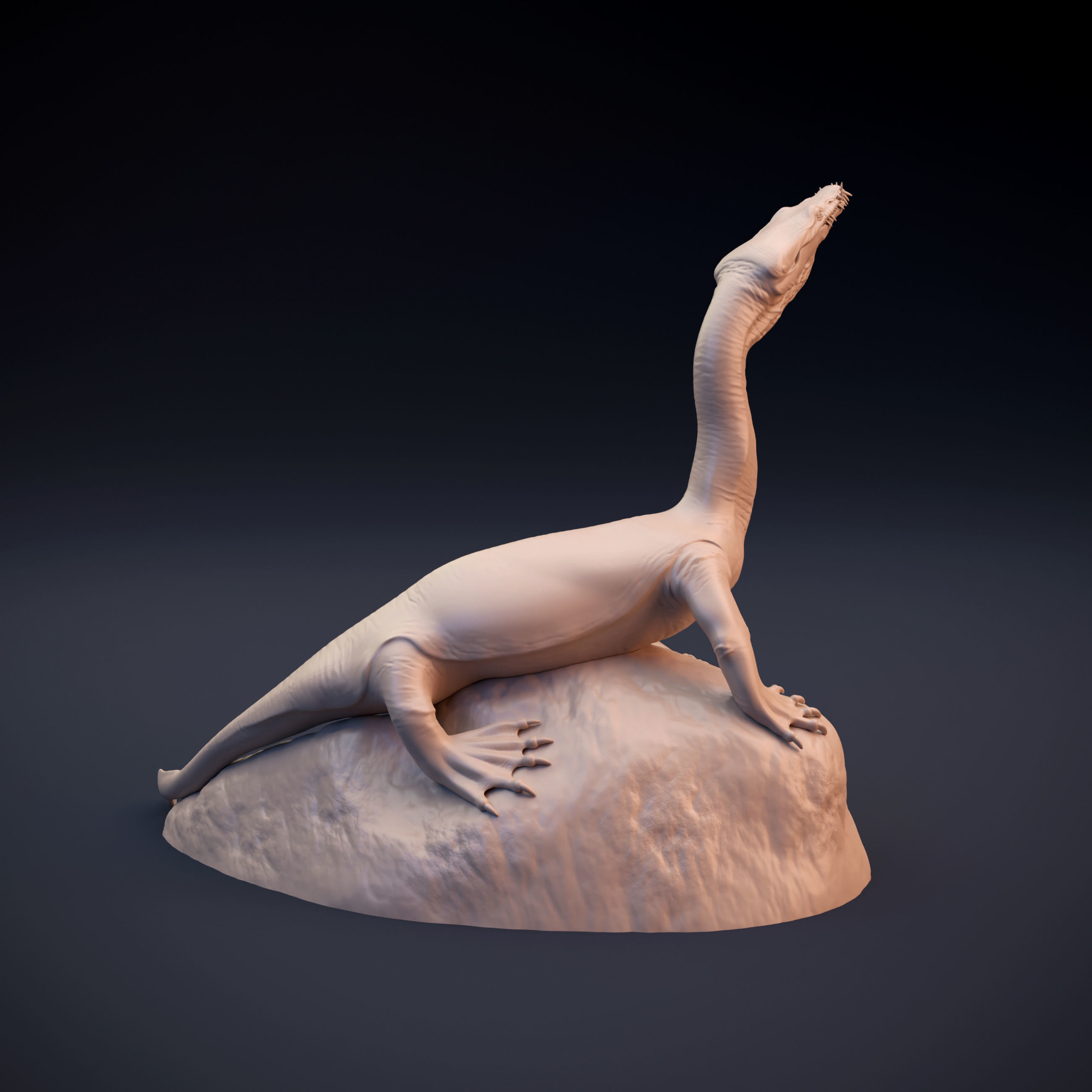 Nothosaurus lizard 3D print model_3