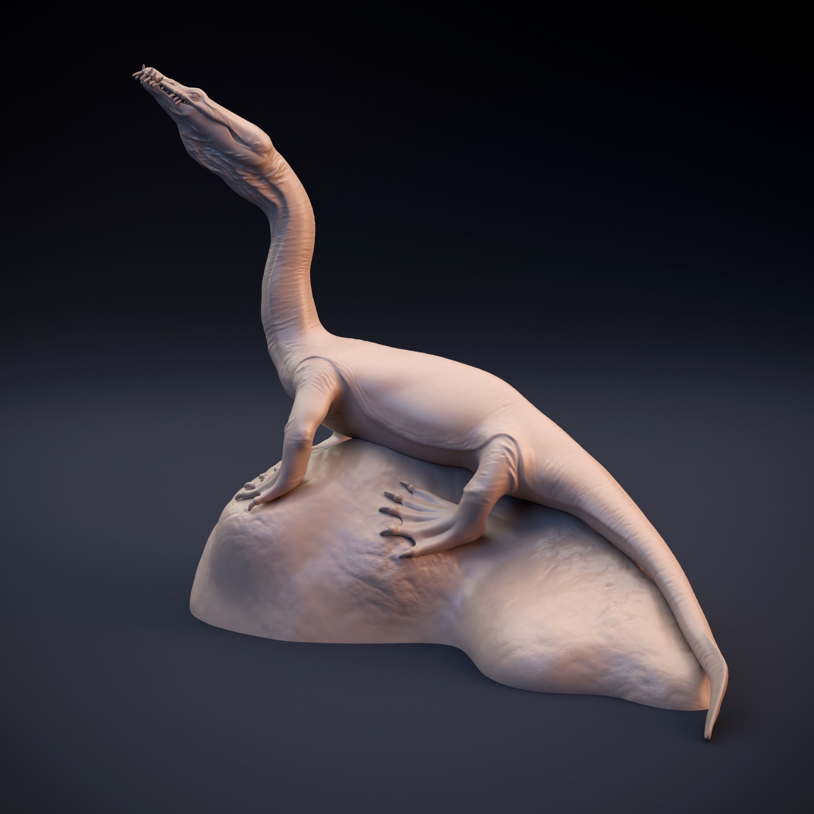 Nothosaurus lizard 3D print model_6