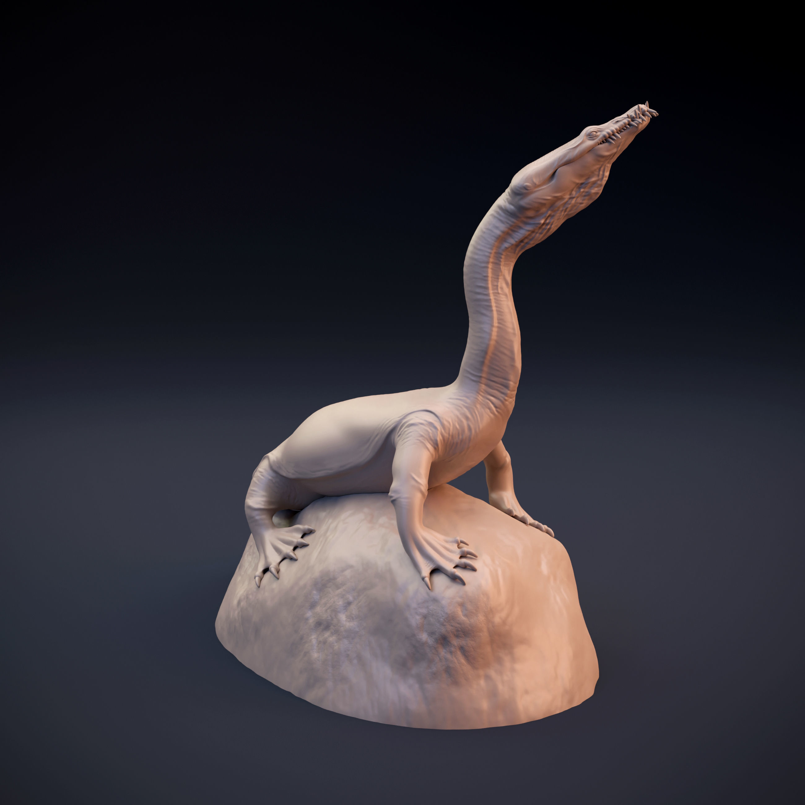 Nothosaurus lizard 3D print model_2