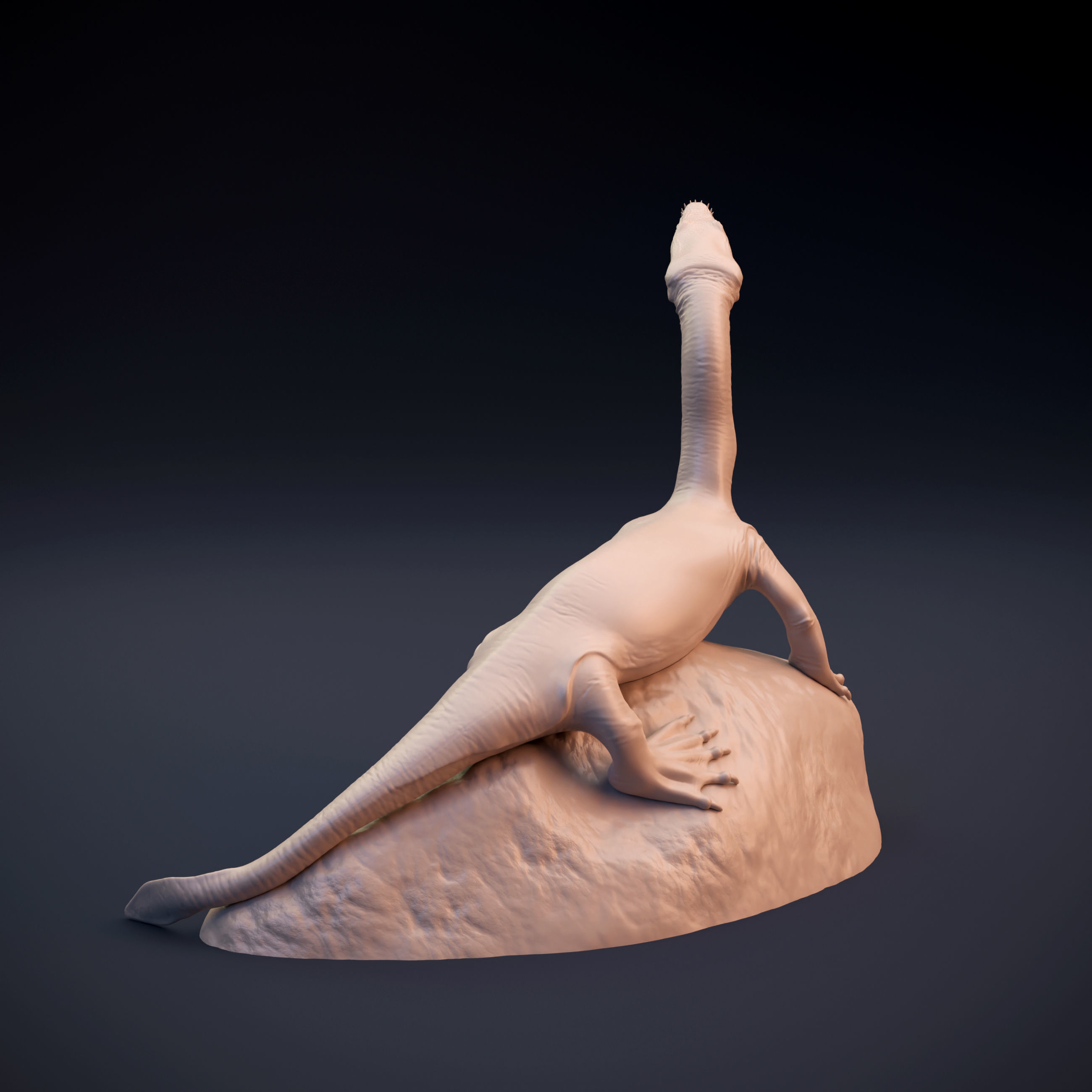 Nothosaurus lizard 3D print model_4