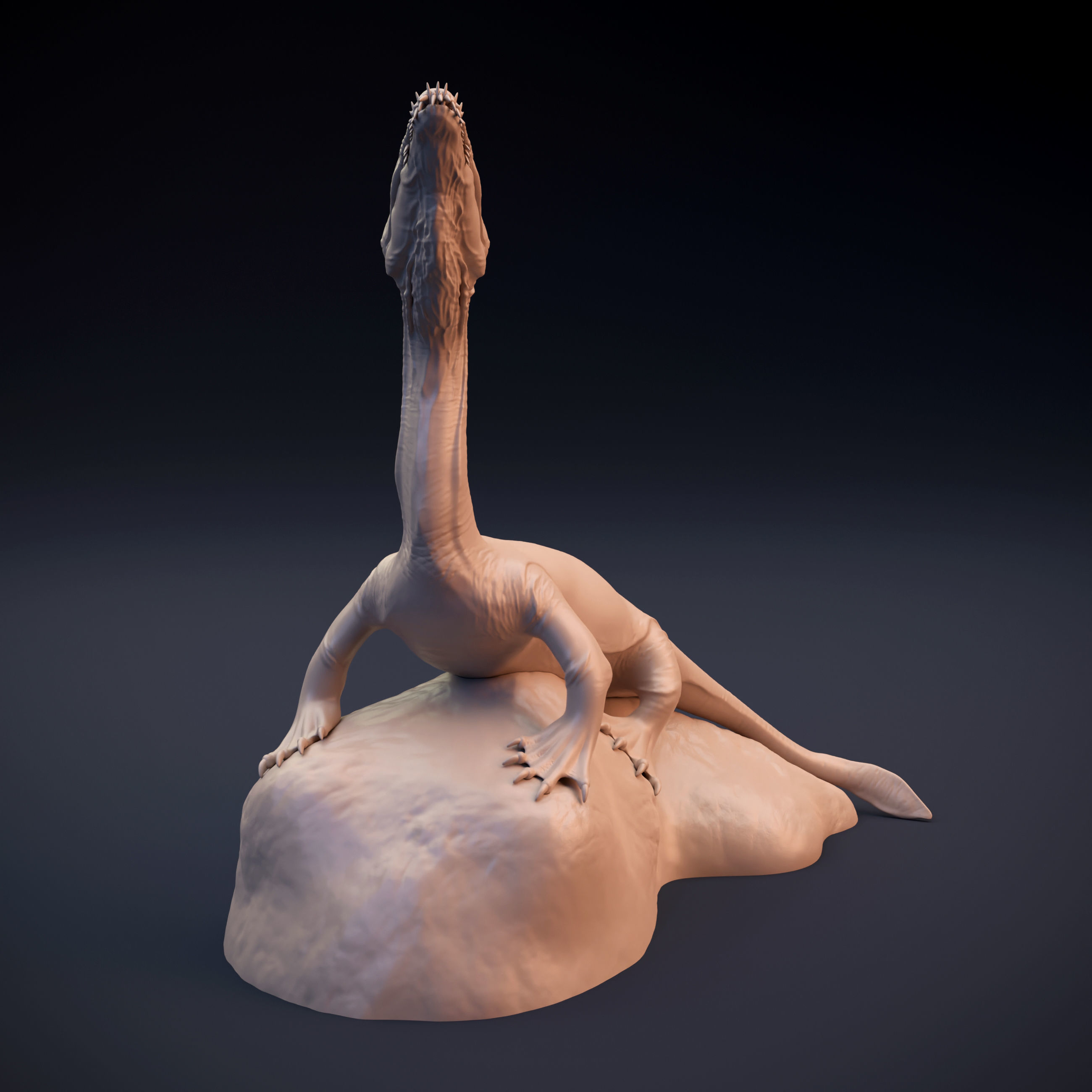 Nothosaurus lizard 3D print model_1