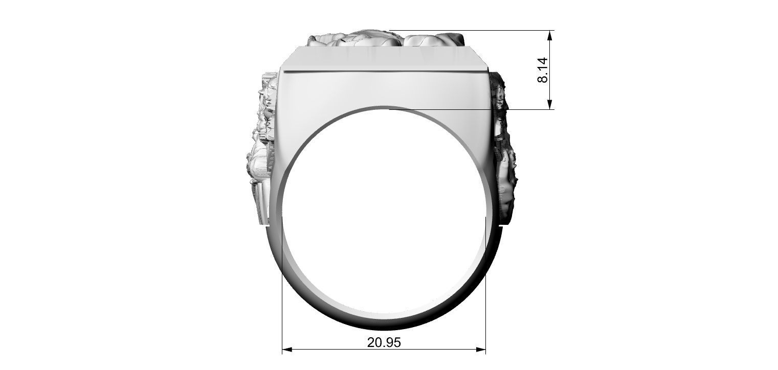 Scapular Prayer Ring - Anel escapulario 3D print model_22