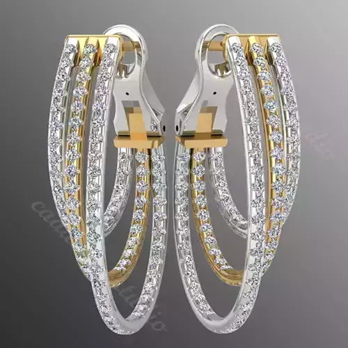Earrings ri25