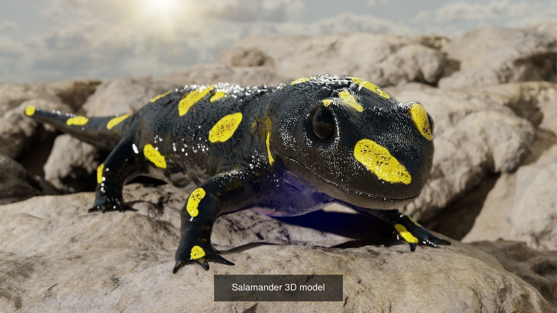 Animals 6 animals rhinoceros 3D Model Collection_7