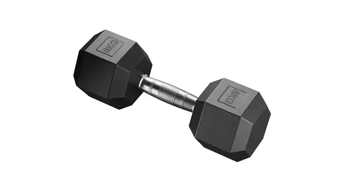 8 Kg Dumbbell