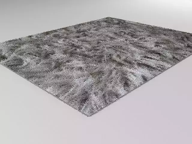 Shag rug 