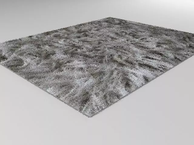 Shag rug  3D model_0