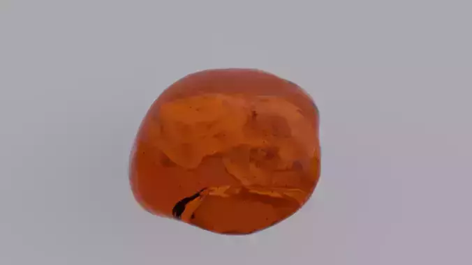 Sea Otter Skull Trapped within Amber 3D model