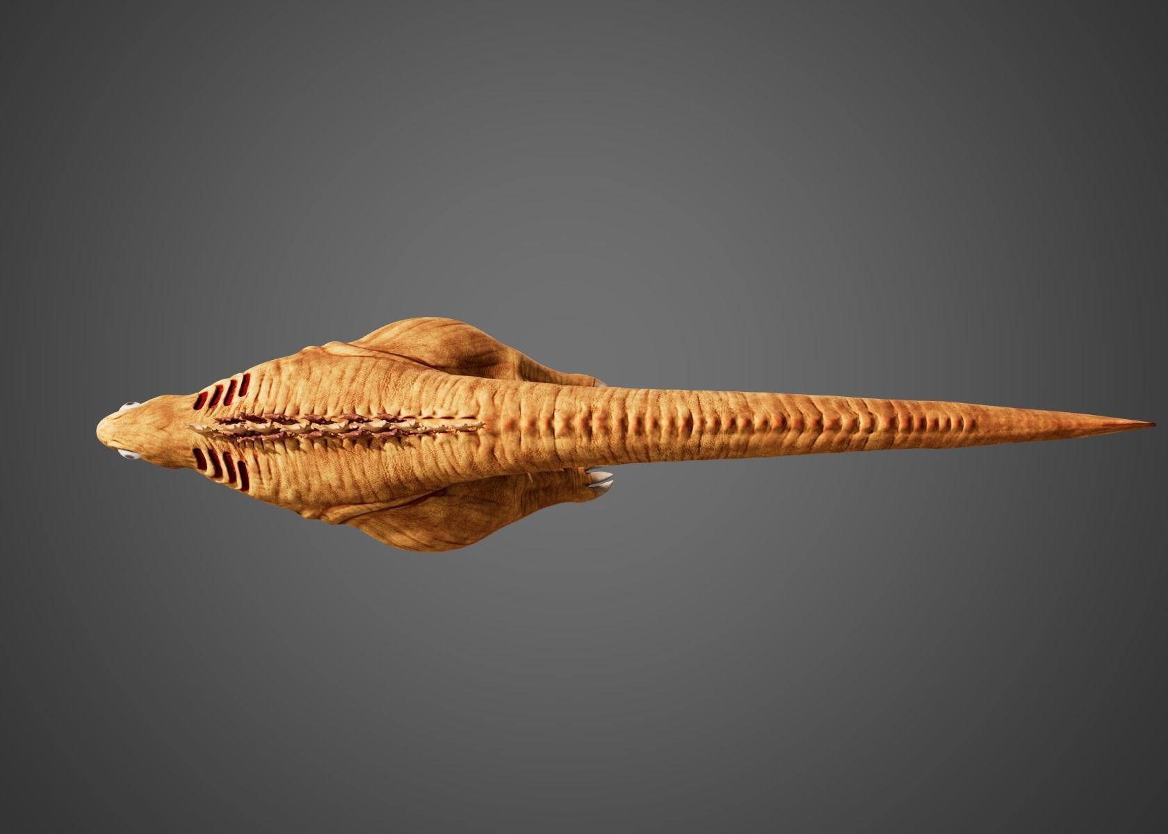 Shin Godzilla First Form Rigged 3D model_5