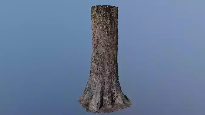 treebark04 tree trunk