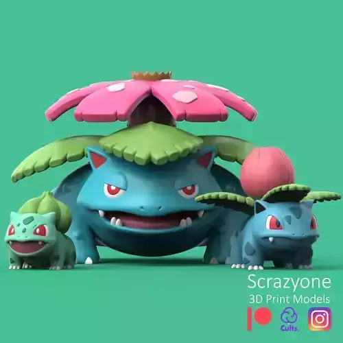 POKEMON - BULBASAUR EVOLUTION